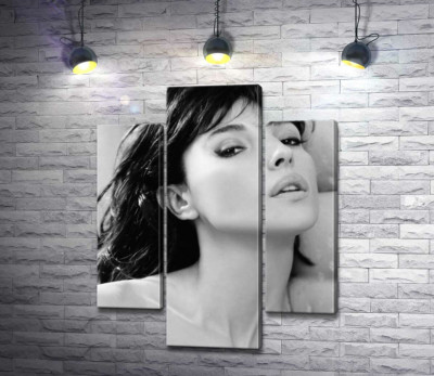 Модульная картина "Откровенный взгляд Моники Беллуччи (Monica Bellucci)"