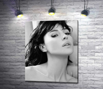 Відвертий погляд Моніки Беллуччі (Monica Bellucci)