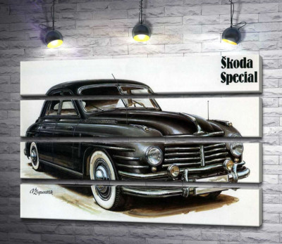 Черный автомобиль Skoda Special