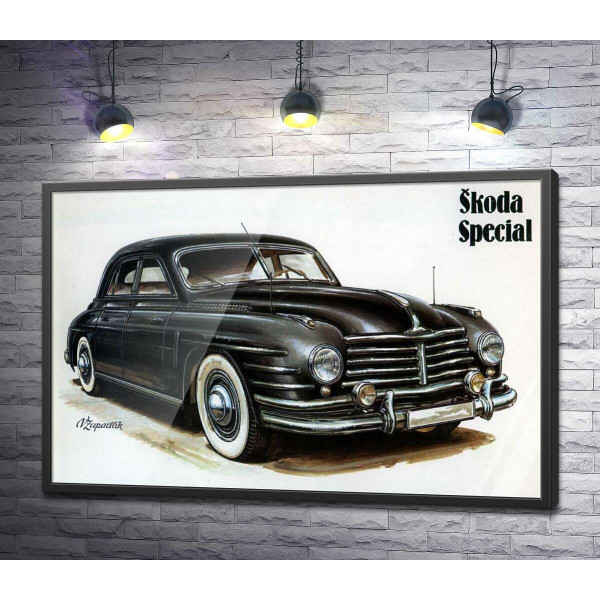 Черный автомобиль Skoda Special