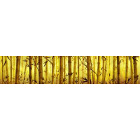 Бамбуковый лес в желтых оттенках