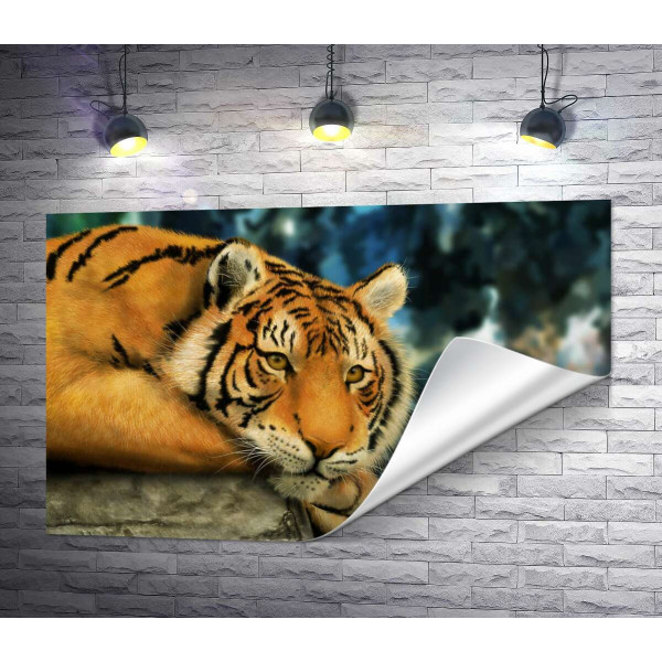 Бенгальский тигр отдыхает