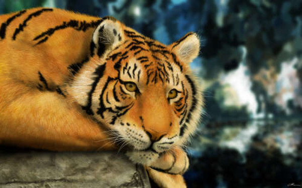 Бенгальський тигр відпочиває