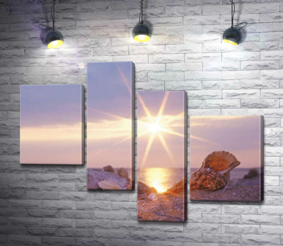 Модульна картина "Мушлі, розсипані по піщаному березі, в променях сонця"