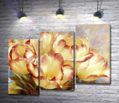 Кучеряві тюльпани