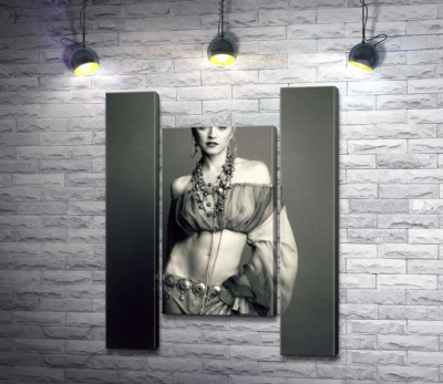 Модульная картина "Стройная Мадонна (Madonna) позирует в прозрачном топе"