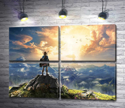 Герой гри "The Legend of Zelda", Лінк, дивиться на вибух
