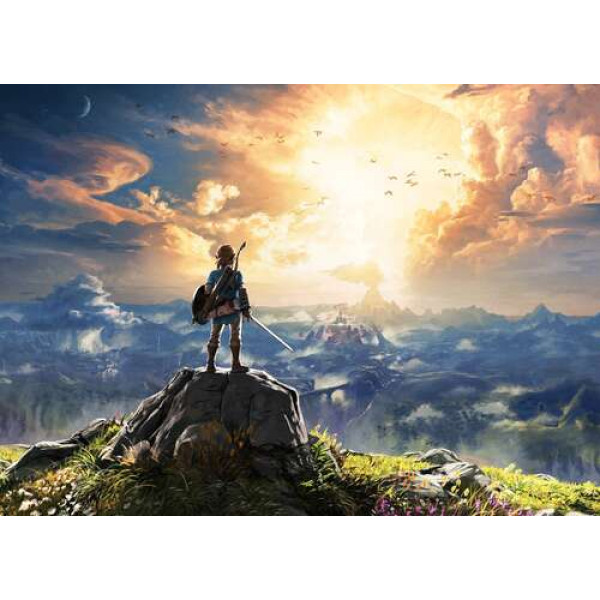 Герой гри "The Legend of Zelda", Лінк, дивиться на вибух