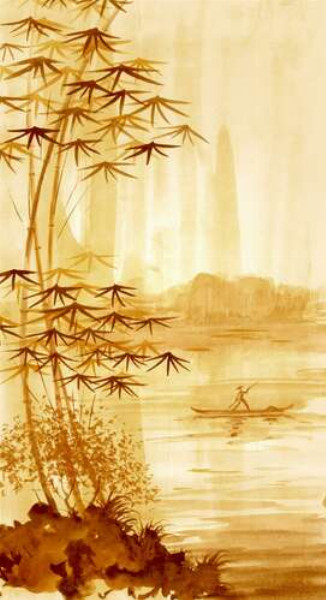 Стройный бамбук растет на берегу реки