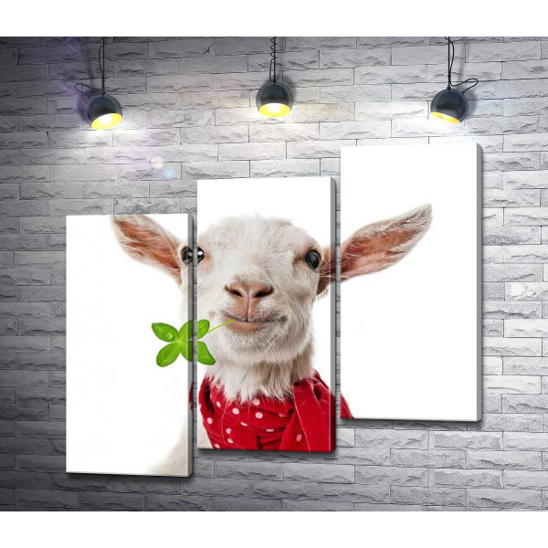 Елегантна коза в червоному шарфі