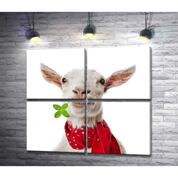 Елегантна коза в червоному шарфі