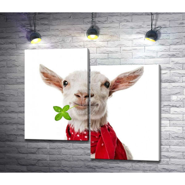 Элегантная коза в красном шарфе
