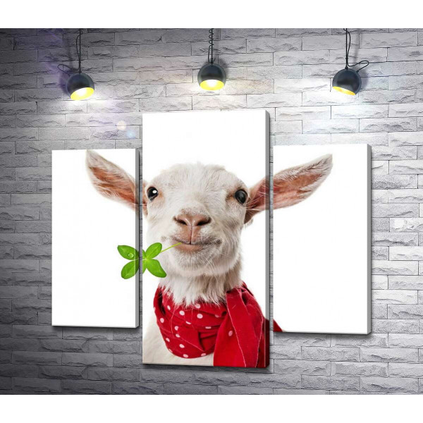 Элегантная коза в красном шарфе