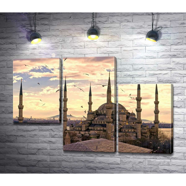 Острые шпили Голубой мечети (Sultanahmet Camii) устремляются в небо Стамбула