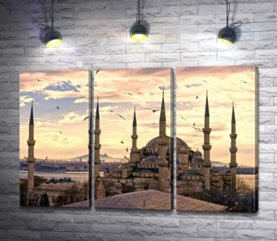 Гострі шпилі Блакитної мечеті (Sultanahmet Camii) линуть у небо Стамбула