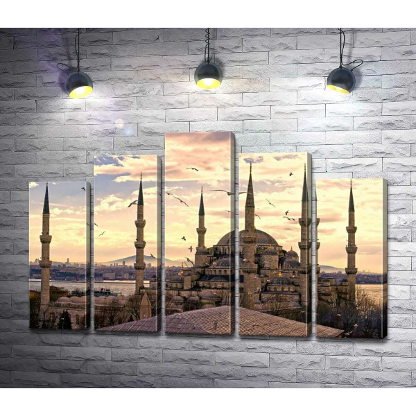 Гострі шпилі Блакитної мечеті (Sultanahmet Camii) линуть у небо Стамбула