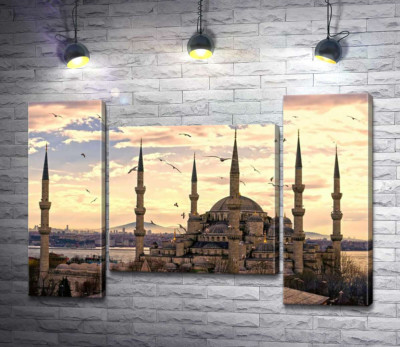 Гострі шпилі Блакитної мечеті (Sultanahmet Camii) линуть у небо Стамбула