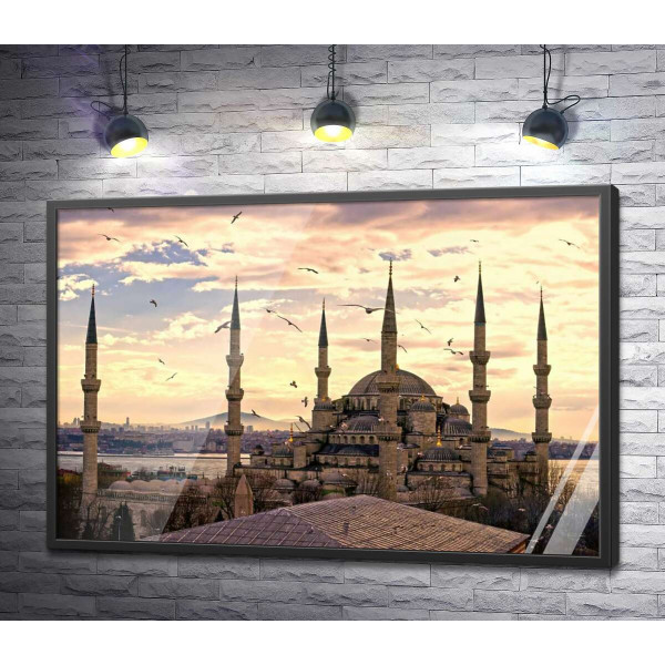 Гострі шпилі Блакитної мечеті (Sultanahmet Camii) линуть у небо Стамбула