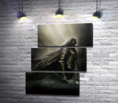 Воин из видеоигры "Dark Souls"