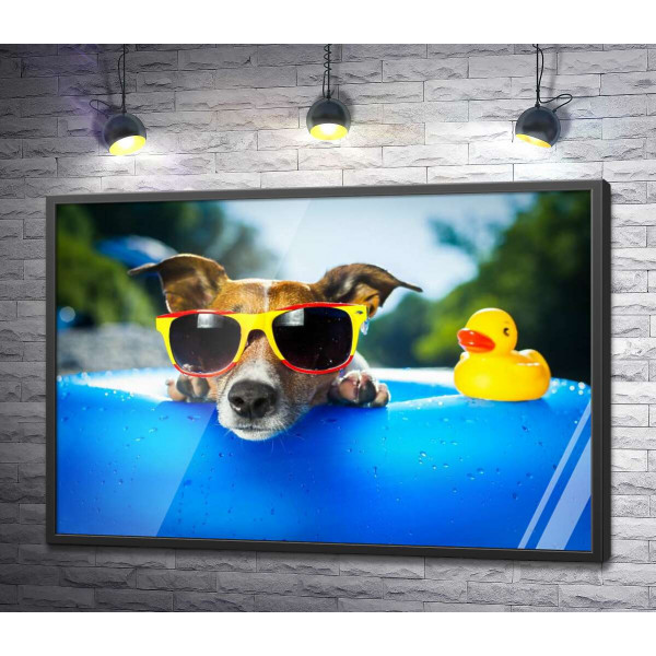 Собака релаксирует в солнечных очках на краю надувного бассейна