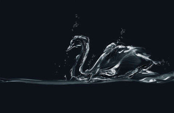 Волны прозрачной воды в силуэте лебедя
