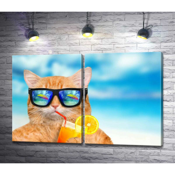 Рыжий кот в отпуске пьет фреш на пляже