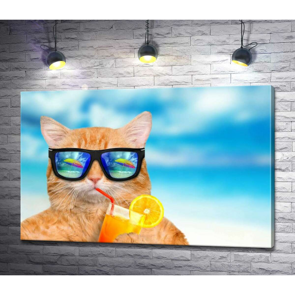 Рудий кіт у відпустці п’є фреш на пляжі