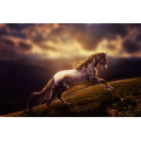 Белая лошадь скачет по изумрудной горной траве