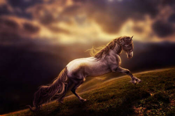 Белая лошадь скачет по изумрудной горной траве