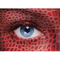 Красная чешуя рептилии очерчивает взгляд голубого глаза девушки