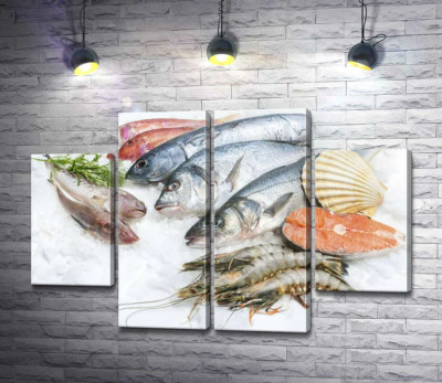 Разнообразие морской рыбы и креветок на холоде льда