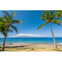 Зеленые кисточки пальм греются под пляжным гавайским солнцем