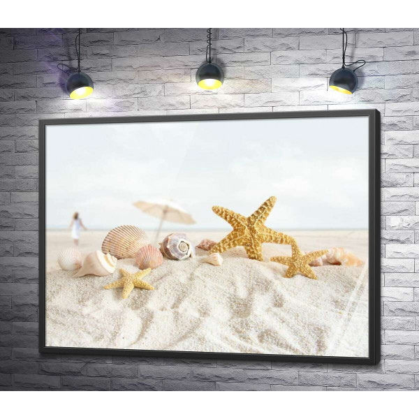 Нежный набор ракушек и морских звезд лежит на мягком пляжном песке