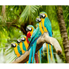 Цветной узор из попугаев ара, которые отдыхают на ветке