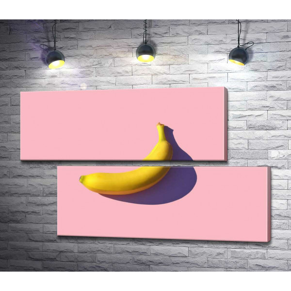 Солнечного цвета банан бросает фиолетовую тень на розовый фон