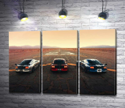 Модульная картина "Гоночные автомобили Ford Mustang Shelby GT500 на старой дороге"