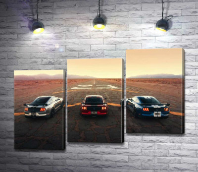 Гоночні автомобілі Ford Mustang Shelby GT500 на старій дорозі