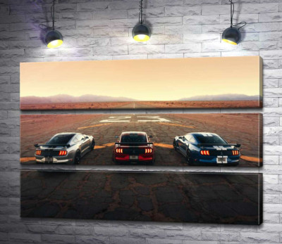 Гоночные автомобили Ford Mustang Shelby GT500 на старой дороге