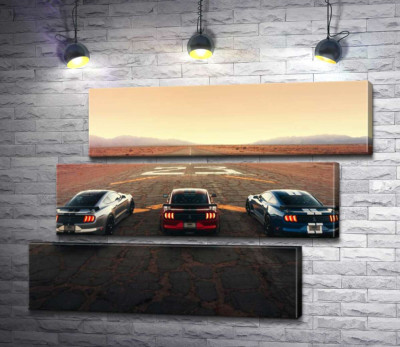 Модульна картина "Гоночні автомобілі Ford Mustang Shelby GT500 на старій дорозі"