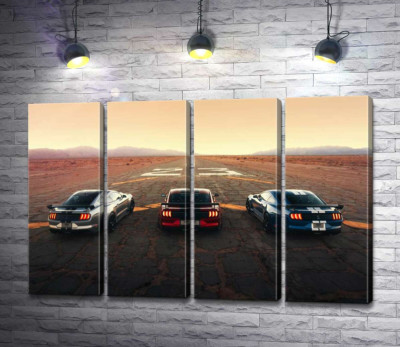 Гоночные автомобили Ford Mustang Shelby GT500 на старой дороге