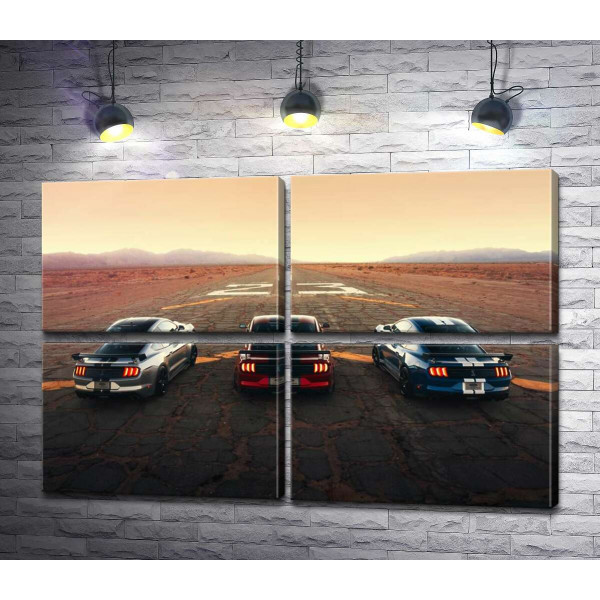 Гоночные автомобили Ford Mustang Shelby GT500 на старой дороге