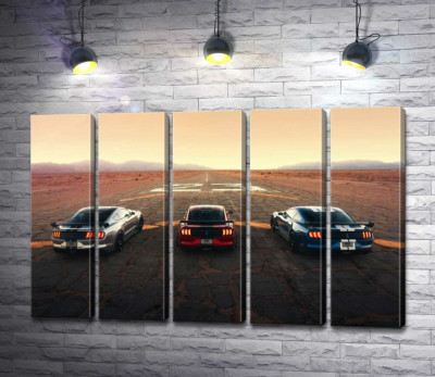 Модульна картина "Гоночні автомобілі Ford Mustang Shelby GT500 на старій дорозі"