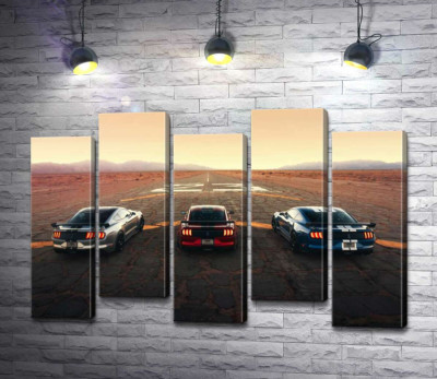 Модульная картина "Гоночные автомобили Ford Mustang Shelby GT500 на старой дороге"