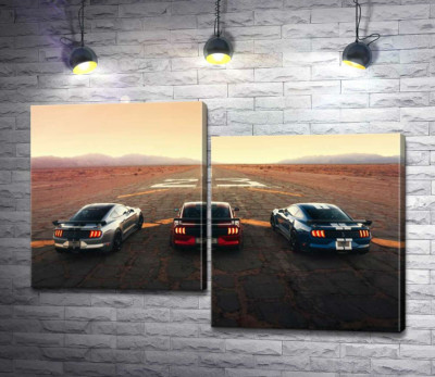 Модульная картина "Гоночные автомобили Ford Mustang Shelby GT500 на старой дороге"