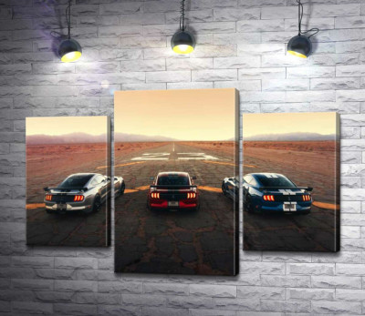 Гоночні автомобілі Ford Mustang Shelby GT500 на старій дорозі