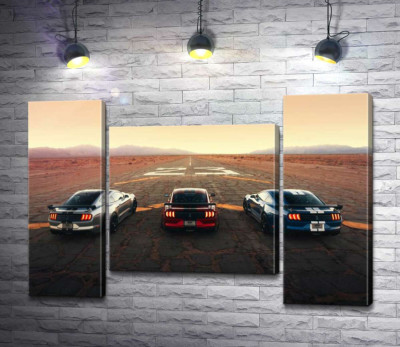 Гоночные автомобили Ford Mustang Shelby GT500 на старой дороге