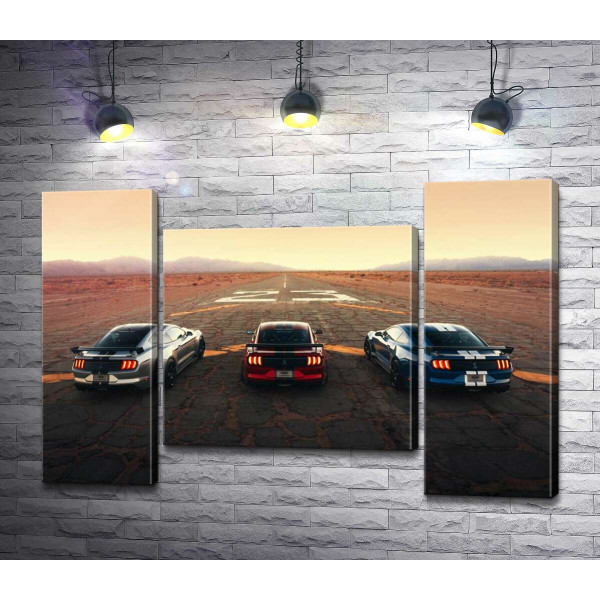 Гоночні автомобілі Ford Mustang Shelby GT500 на старій дорозі
