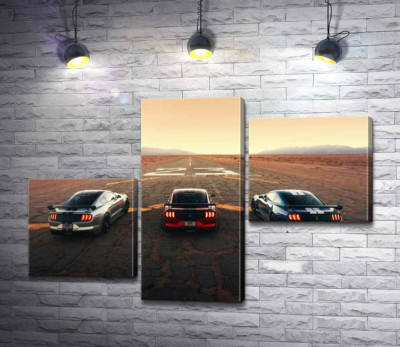 Модульна картина "Гоночні автомобілі Ford Mustang Shelby GT500 на старій дорозі"