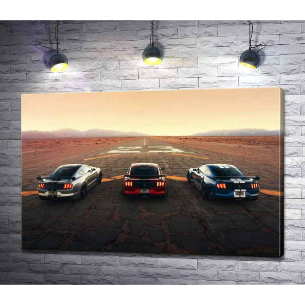 Гоночные автомобили Ford Mustang Shelby GT500 на старой дороге
