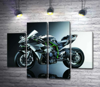 Модульна картина "Чорний блиск мотоцикла Kawasaki Ninja"